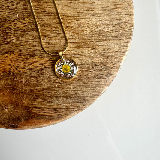 Ketting madeliefje
